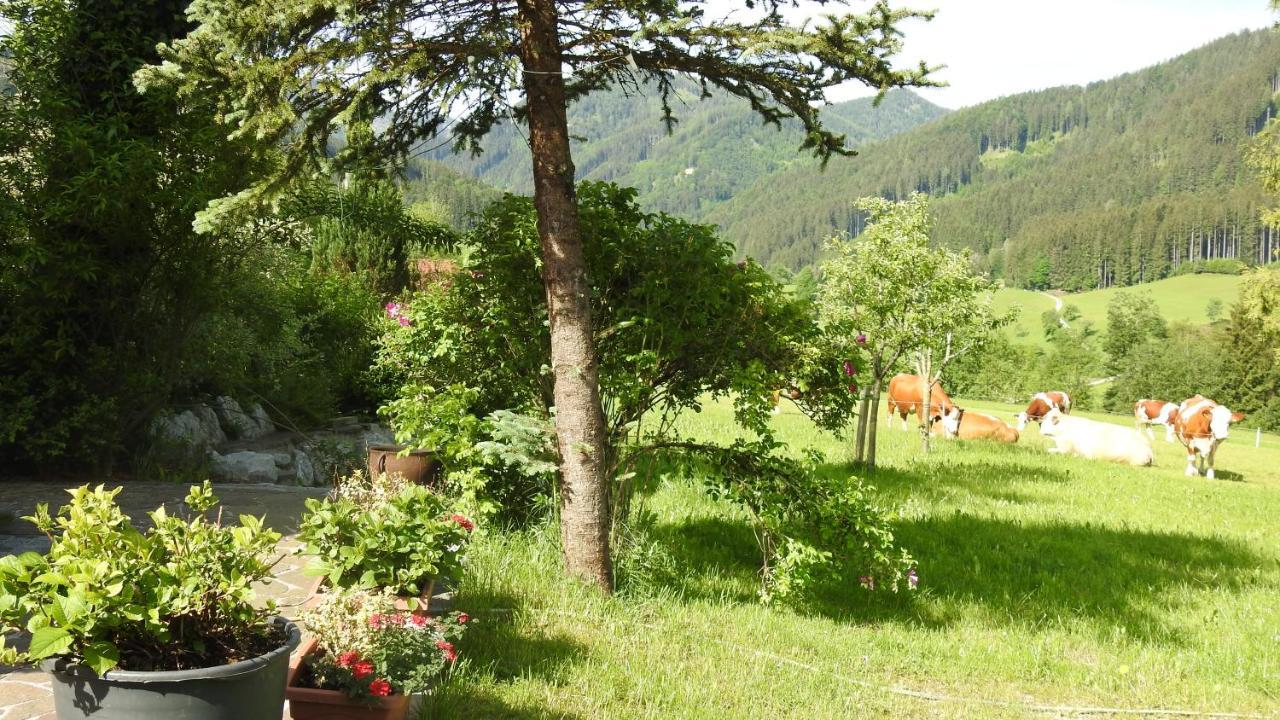 Gross Lettenwag Göstling an der Ybbs Exterior foto