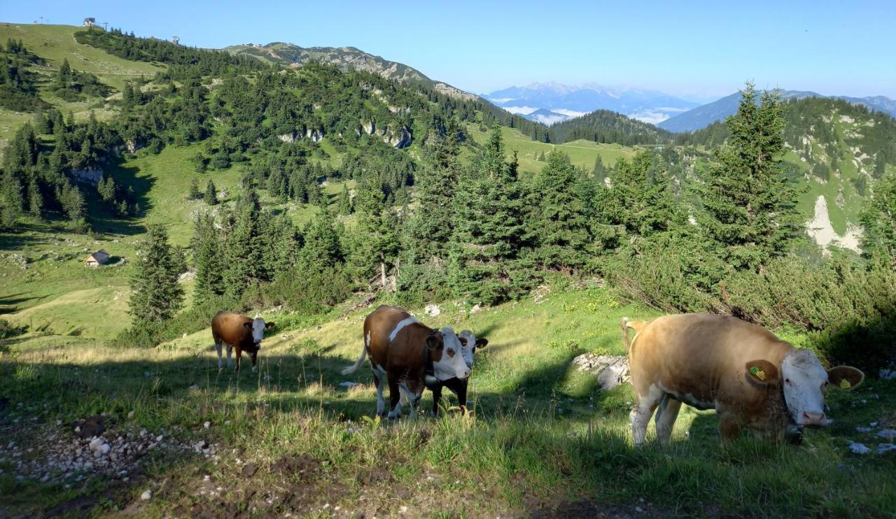 Gross Lettenwag Göstling an der Ybbs Exterior foto